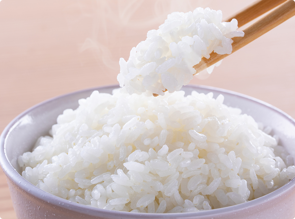 商品紹介
