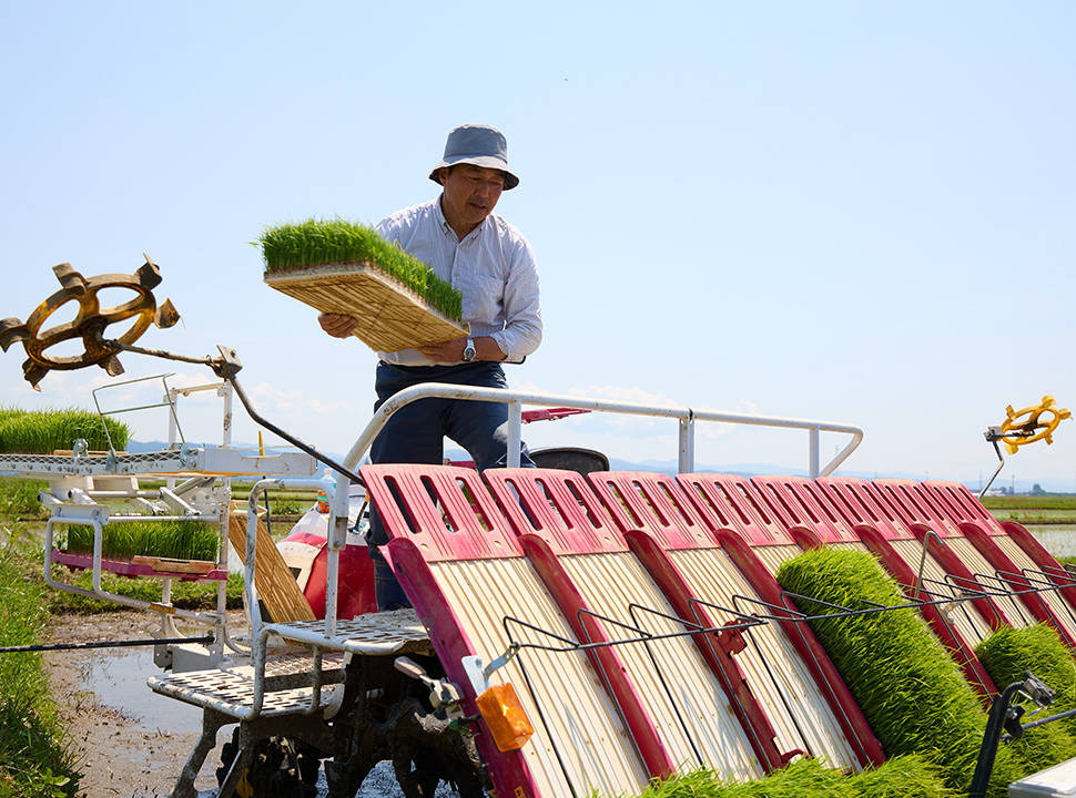 スタッフ紹介