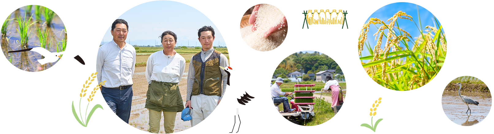 斎藤農園