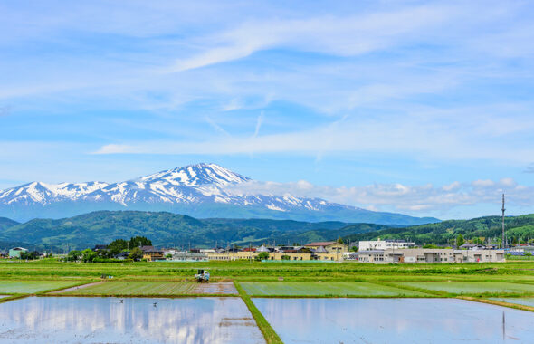 斎藤農園