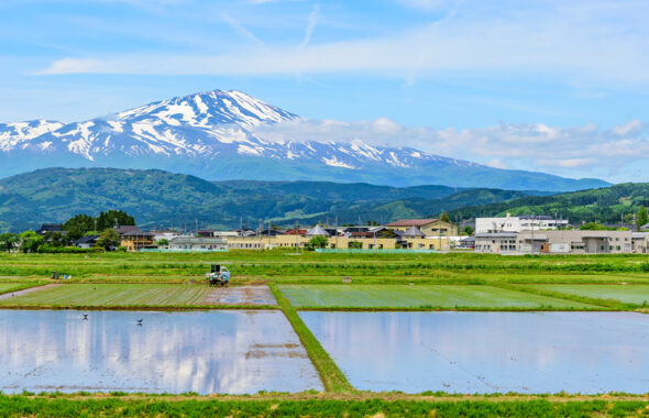 斎藤農園
